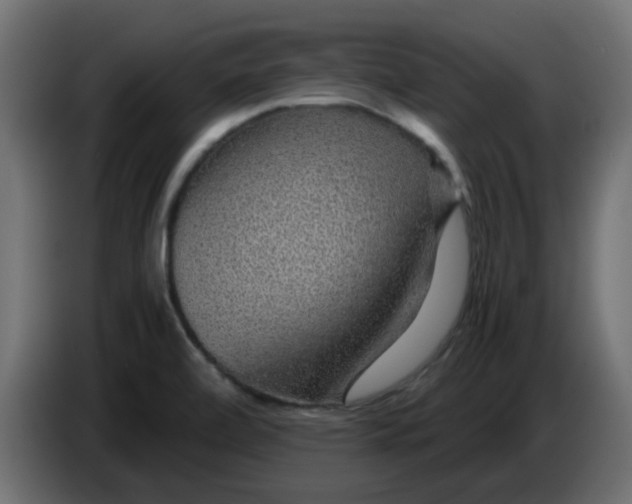 X0000083581472200703021801