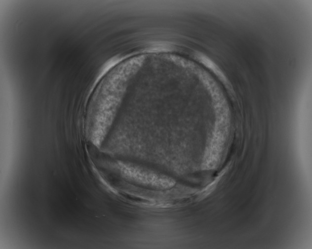 X0000083581473200703021801