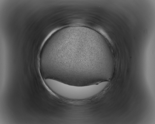 X0000083581476200703021801