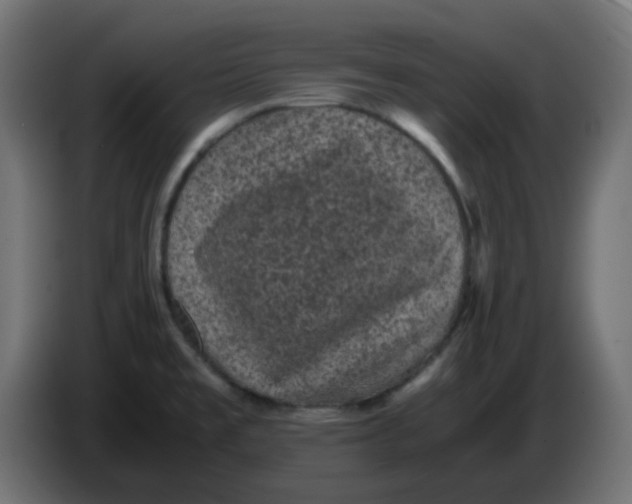 X0000083581477200703021801