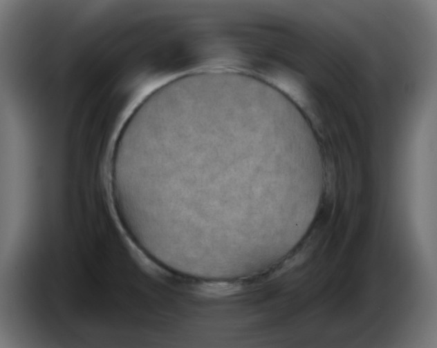 X0000083581478200703021801