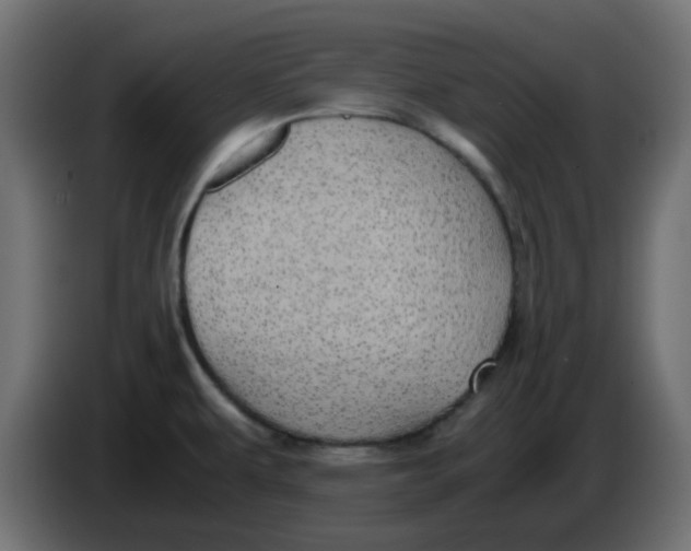 X0000083581479200703021801