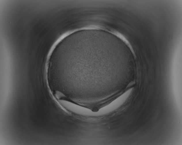 X0000083581480200703021801