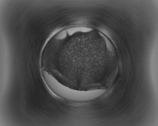 X0000083581482200703021801