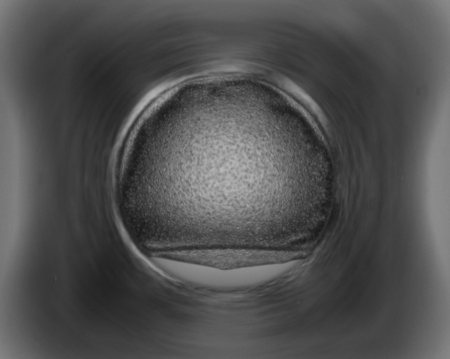 X0000083581483200703021801