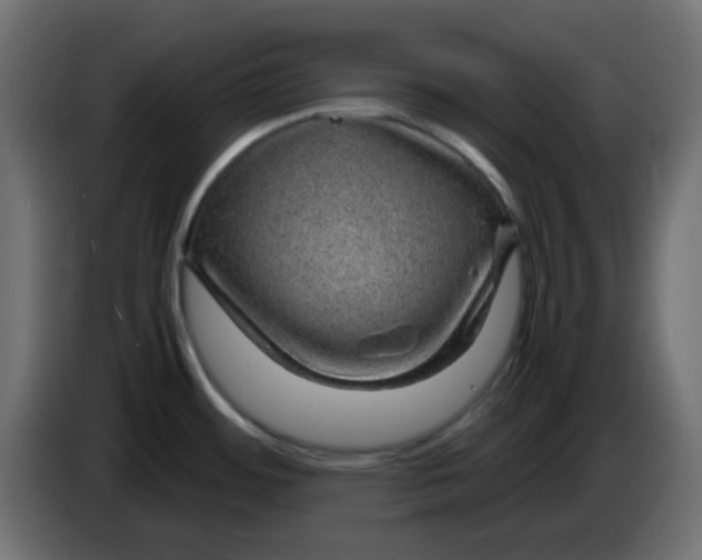 X0000083581484200703021801