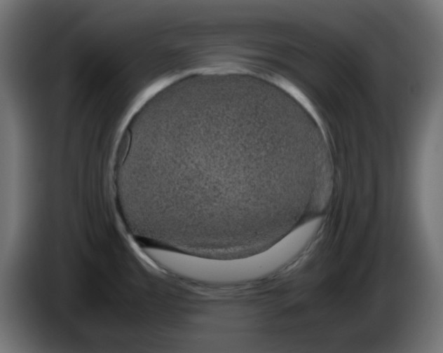 X0000083581485200703021801