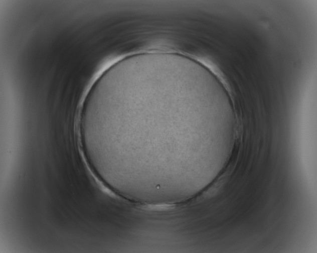 X0000083581486200703021801