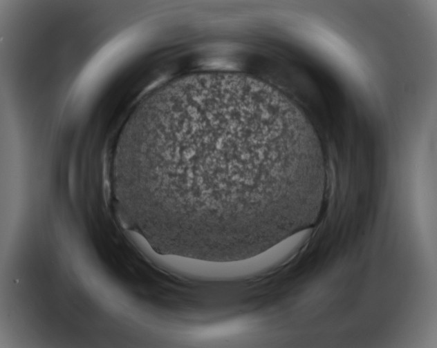 X0000083581487200703021801