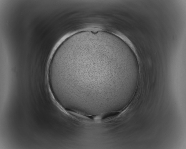 X0000083581488200703021801