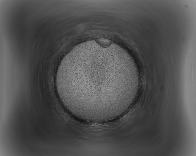 X0000083581489200703021800