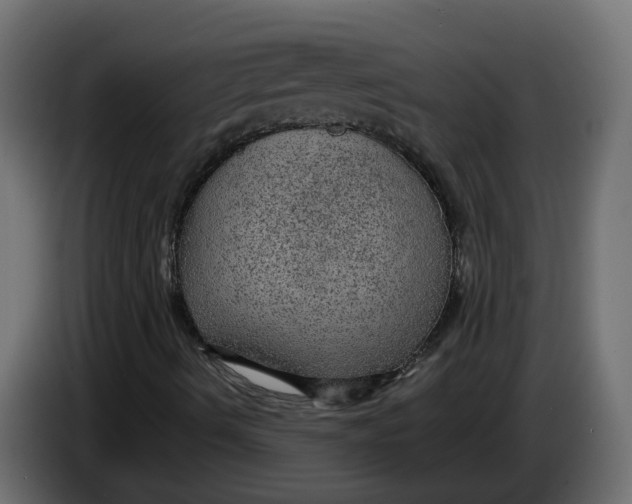 X0000083581490200703021800