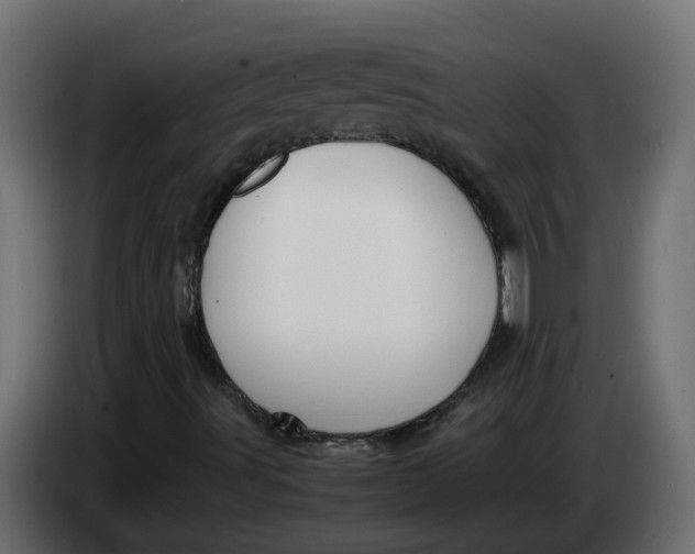 X0000083581491200703021800