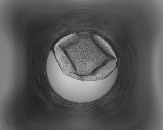 X0000083581492200703021800