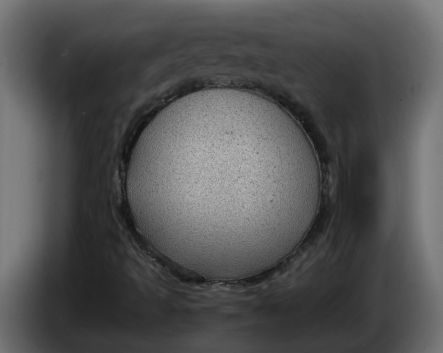 X0000083581493200703021800