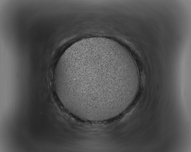 X0000083581494200703021800