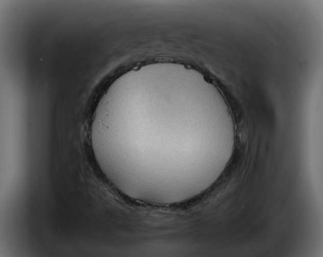 X0000083581495200703021800