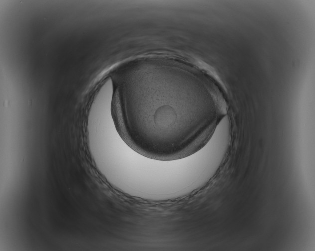 X0000083581496200703021800