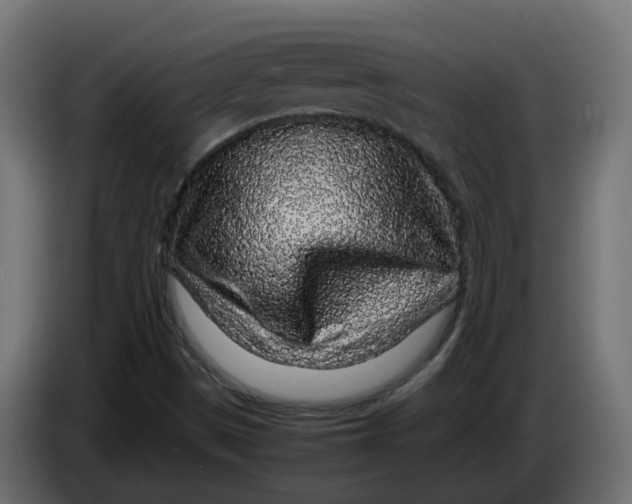 X0000083581497200703021800