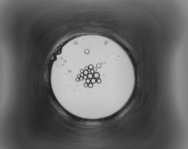 X0000083581498200703021800