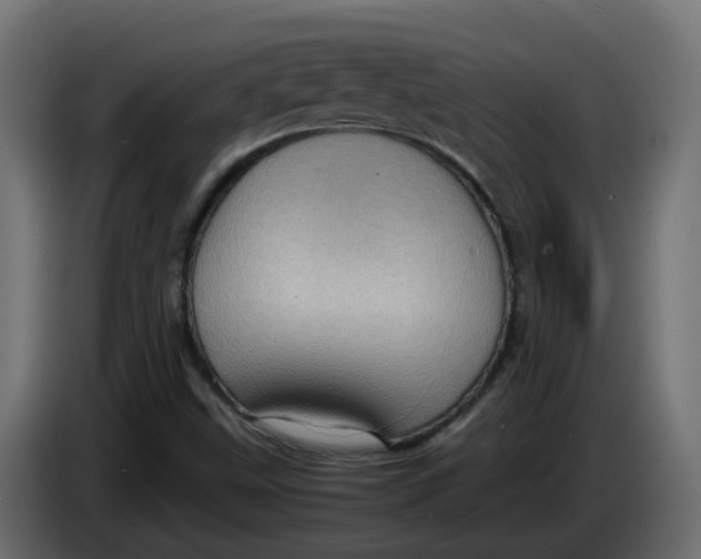 X0000083581499200703021800