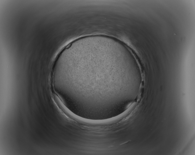 X0000083581500200703021800