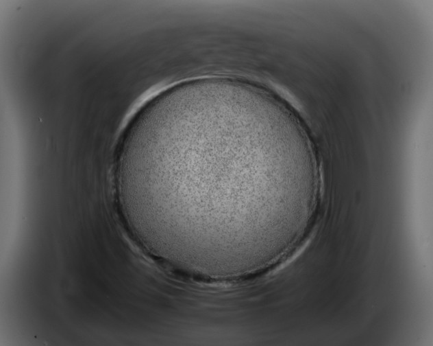 X0000083581501200703021800