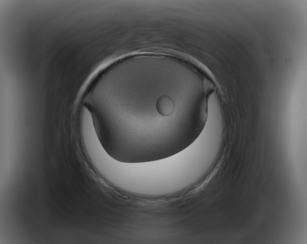 X0000083581506200703021800