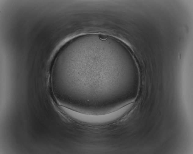 X0000083581507200703021800