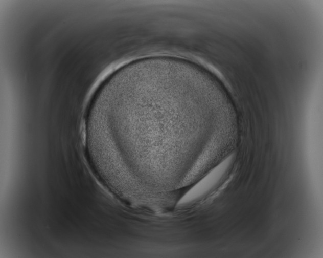 X0000083581509200703021800