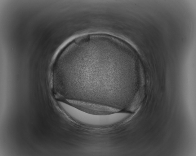 X0000083581510200703021800