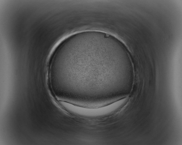 X0000083581511200703021800