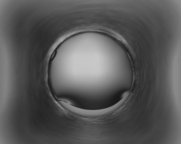 X0000083581512200703021800