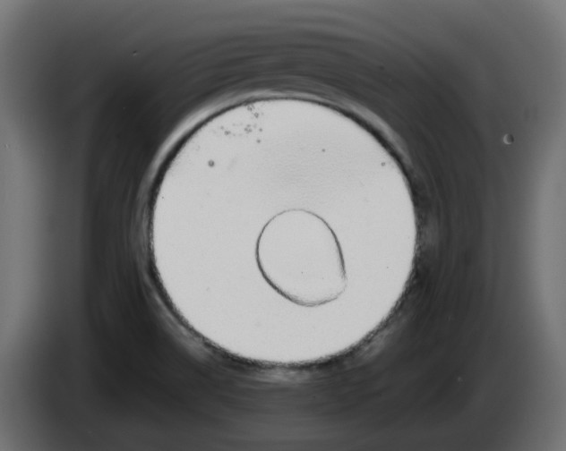 X0000083581514200703021800