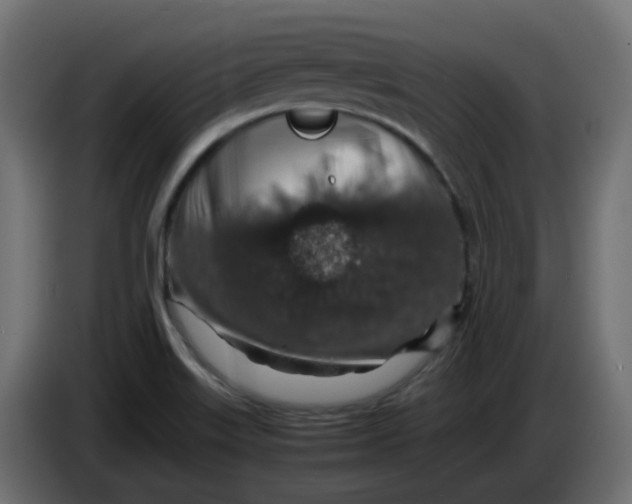 X0000083581515200703021800