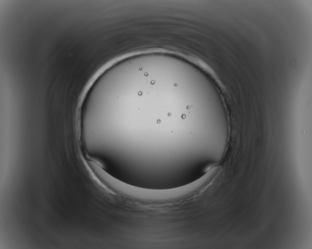 X0000083581516200703021800