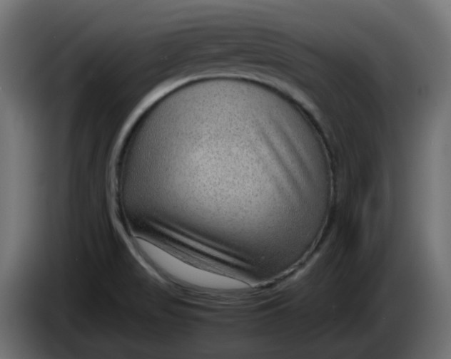 X0000083581517200703021800