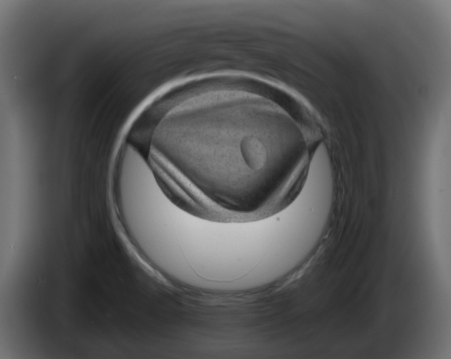 X0000083581518200703021800