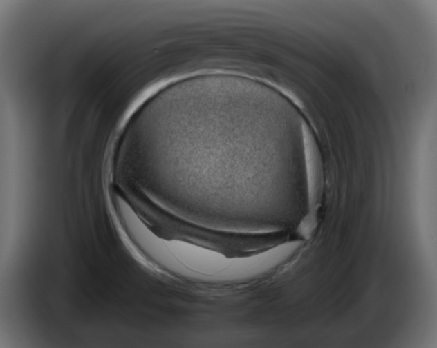 X0000083581523200703021800