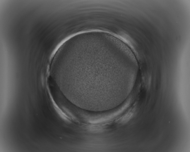 X0000083581524200703021800