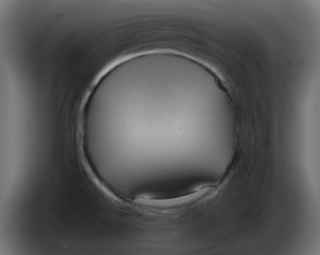 X0000083581526200703021800