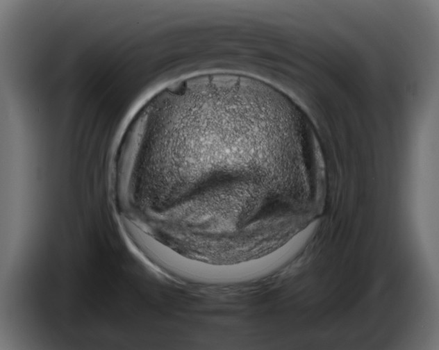 X0000083581527200703021800