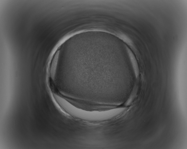 X0000083581528200703021800