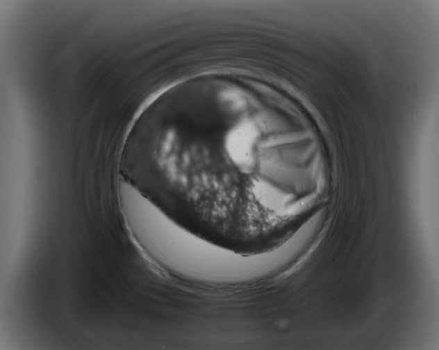 X0000083581529200703021801