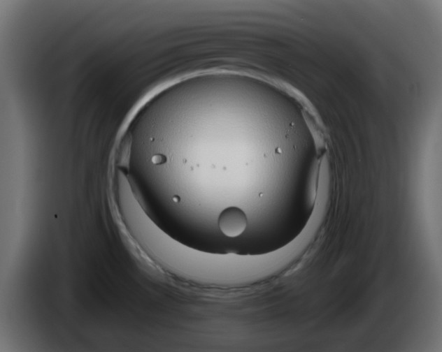 X0000083581530200703021801