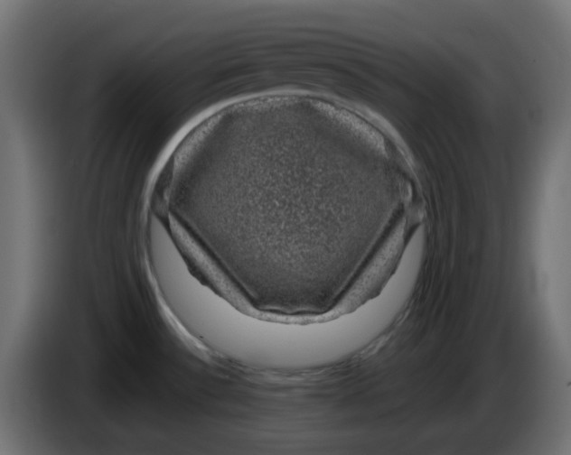 X0000083581532200703021801