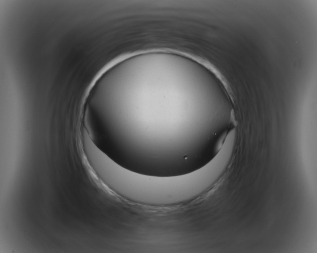 X0000083581534200703021801