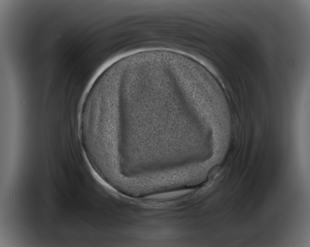 X0000083581535200703021801