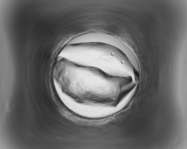 X0000083580001200703091708