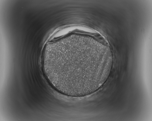 X0000083580002200703091708